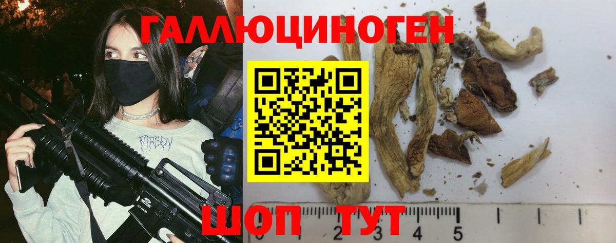 Красный Сулин  Псилоцибиновые грибы ЛСД  Вход с VPN  Галлюциногенные грибы Magic Shrooms 