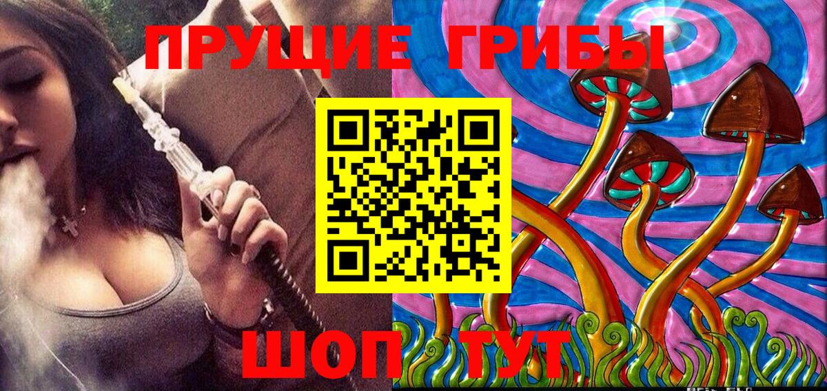 Галлюциногенные грибы Cubensis Красный Сулин